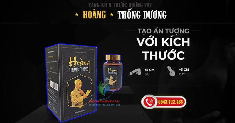 Hoàng Thống Dương -2