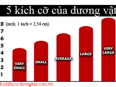 Các bài tậplàm tăng kích thước dương vật bieu-do-kich-thuoc-duong-vat
