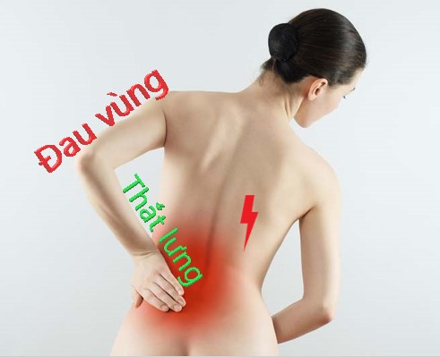 hondrocream có tốt không
