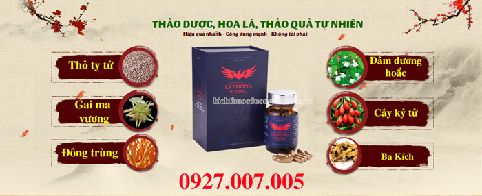 thành phần kỳ phong vương