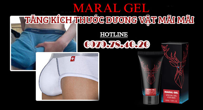 công dụng maral gel