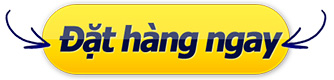 penirum tổng kết