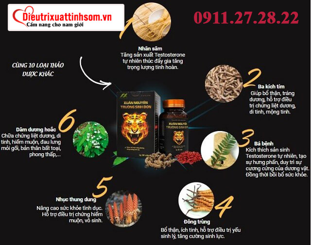 thành phần của xuân nguyên trường sinh đơn được chiết xuất từ đâu